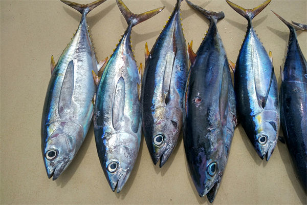 商務(wù)部：將幫助外貿(mào)企業(yè)擴(kuò)寬內(nèi)銷渠道，政策解讀！