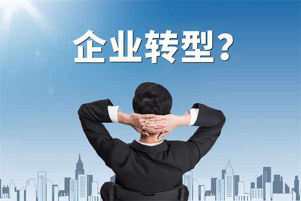 企業(yè)轉(zhuǎn)型無(wú)方向，數(shù)智化咨詢(xún)公司能否指引明路？