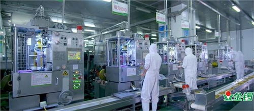 金鑼 誠信筑基,守護食品安全,引領(lǐng)健康美味